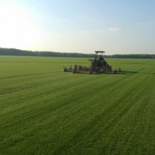 Производство газонов - 3