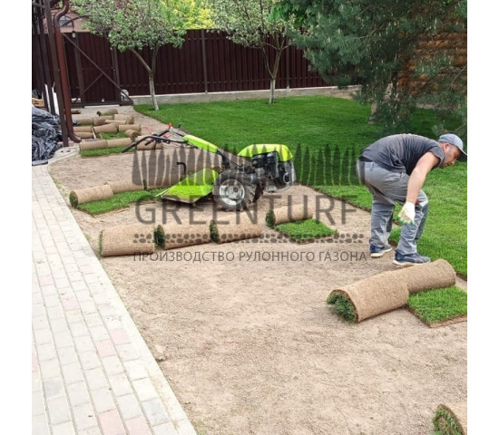 Озеленение территории в Домодедовском районе д. Сонино - фото - 6