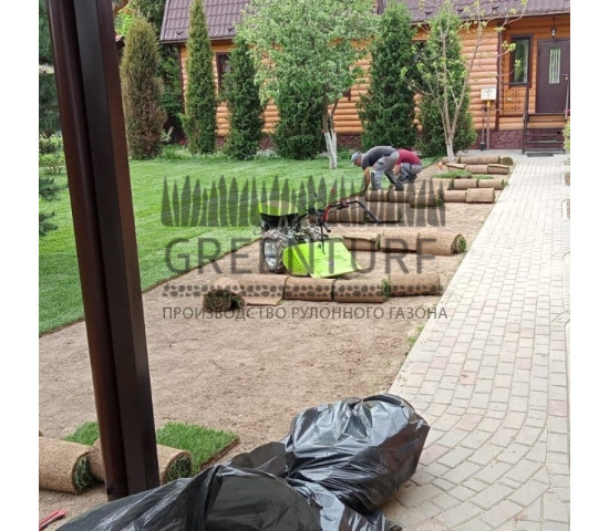 Озеленение территории в Домодедовском районе д. Сонино - фото - 4