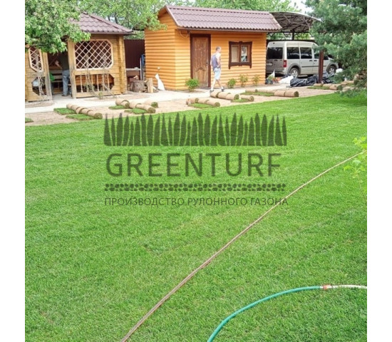 Озеленение территории в Домодедовском районе д. Сонино - фото - 1