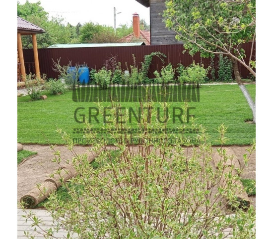 Озеленение территории в Домодедовском районе д. Сонино - фото - 2