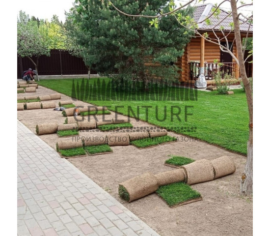 Озеленение территории в Домодедовском районе д. Сонино - фото - 3