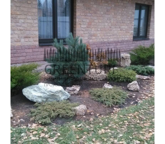 Озеленение и благоустройство территории - фото - 7