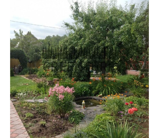 Укладка рулонного газона в деревне Слепушкино - фото - 7