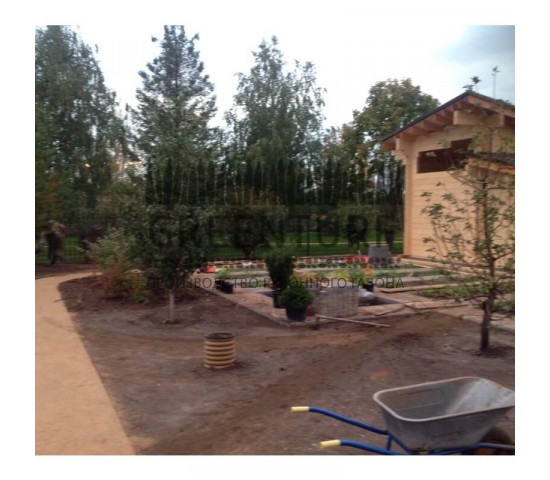 Устройство рулонного газона в коттеджном поселке - фото - 13