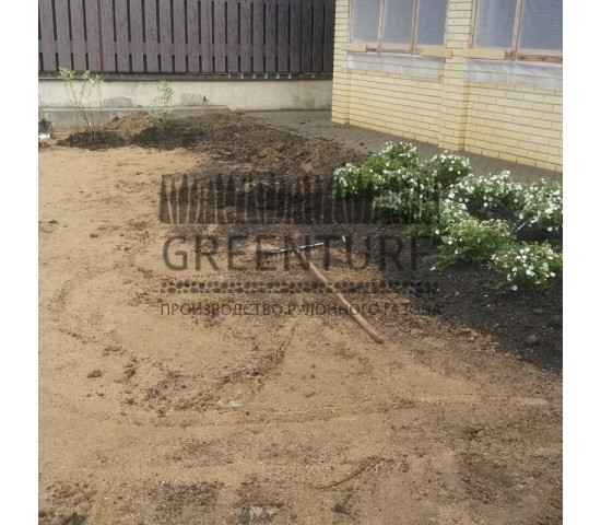 Озеленение участка загородного дома - фото - 5