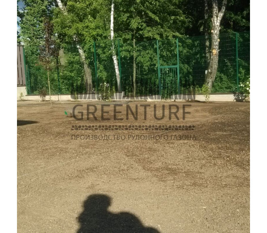 Озеленение участка загородного дома - фото - 8