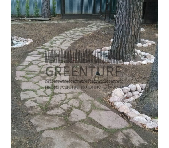 Озеленение частного домовладения - фото - 14