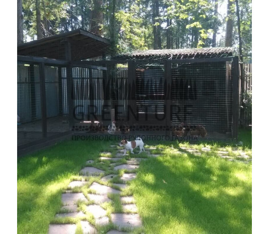 Озеленение частного домовладения - фото - 18