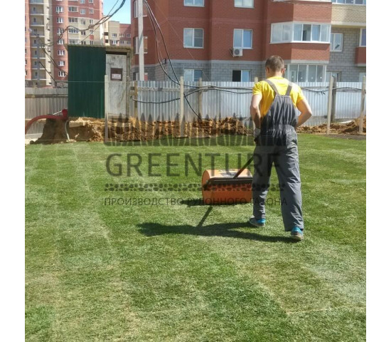 Озеленение придомовой территории - фото - 11