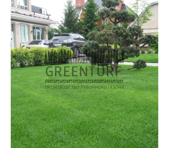 Устройство рулонного газона в частном доме - фото - 3