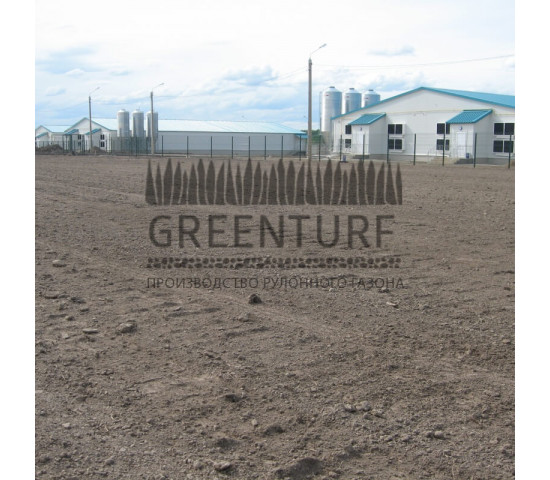 Озеленение крупного кролиководческого комплекса - фото - 4