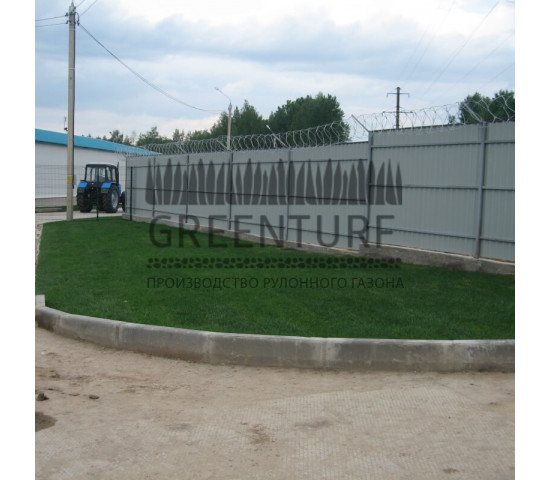 Озеленение крупного кролиководческого комплекса - фото - 19